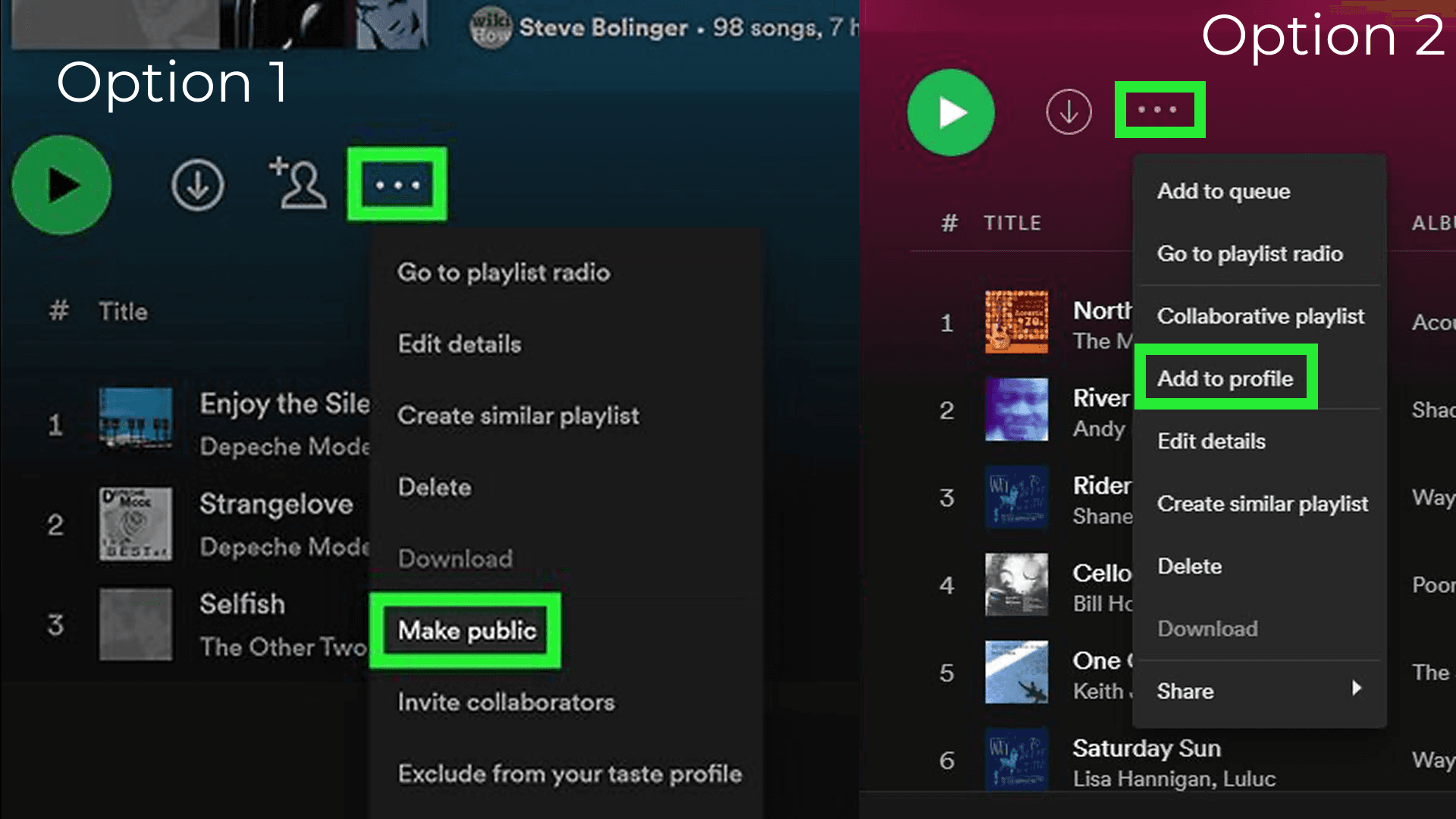 Make playlist public option